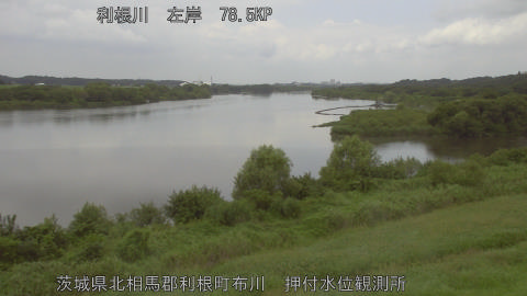 tonos2026090211_image