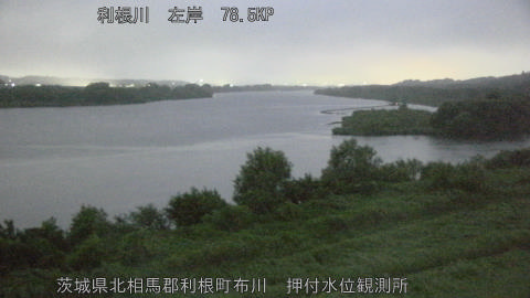 tonos2026090705_image