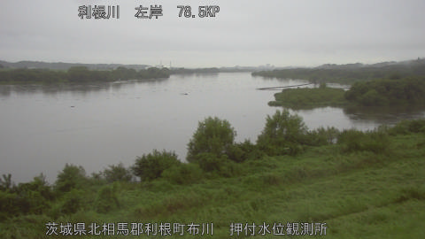 tonos2026090806_image