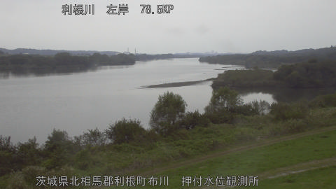 tonos2026102014_image
