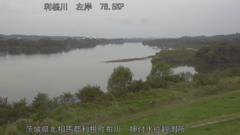 tonos2026102015_image