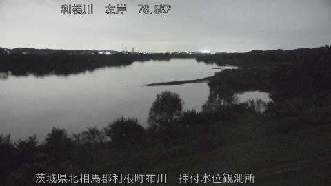 tonos2026102320_image