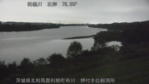 tonos2026102404_image