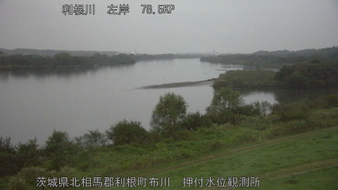 tonos2026102406_image