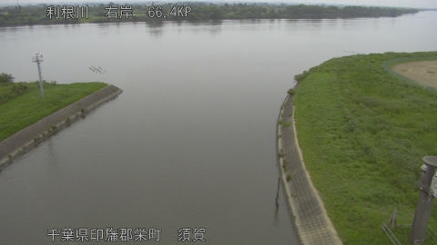 tonsu2025060812_image