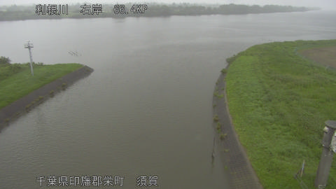 tonsu2025061012_image