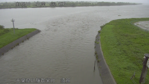 tonsu2025061112_image