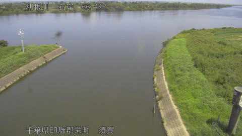 tonsu2025082412_image