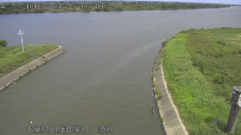 tonsu2025082812_image