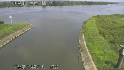 tonsu2025082912_image