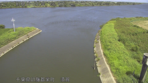 tonsu2025090212_image