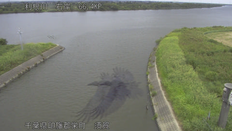 tonsu2025090412_image