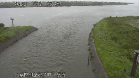 tonsu2025090512_image