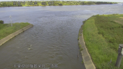 tonsu2025090712_image