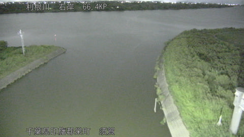 tonsu2025091320_image