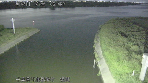 tonsu2025091502_image