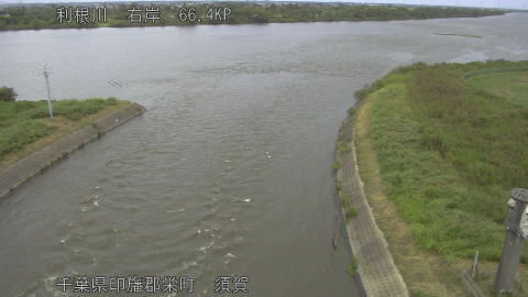 tonsu2025091912_image