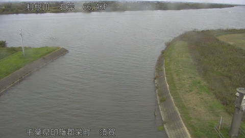 tonsu2025102913_image