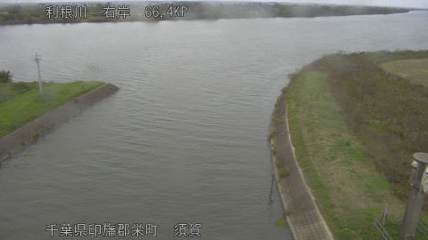 tonsu2025102915_image