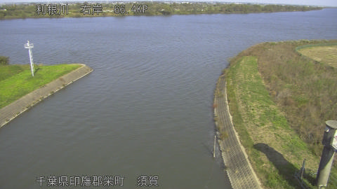 tonsu2025110712_image