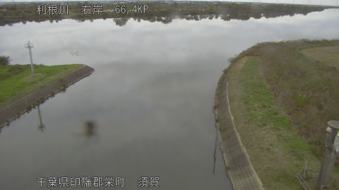 tonsu2025111114_image