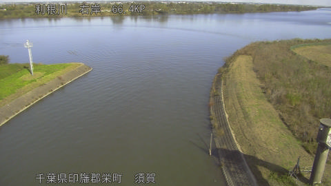 tonsu2025111211_image