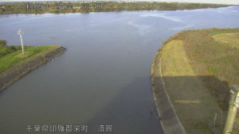 tonsu2025111215_image