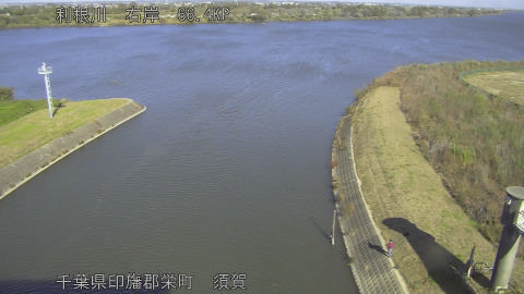 tonsu2025111712_image