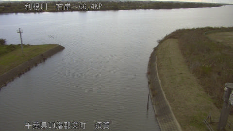 tonsu2025111815_image