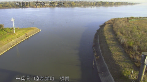 tonsu2025111908_image