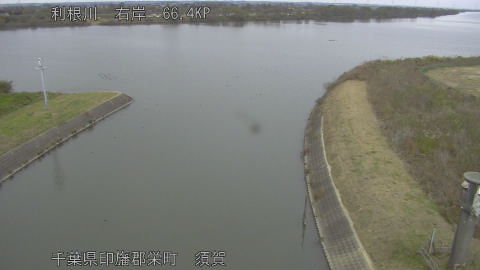 tonsu2025112312_image