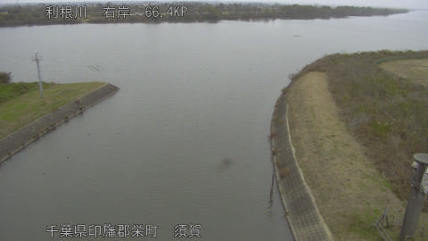 tonsu2025112315_image