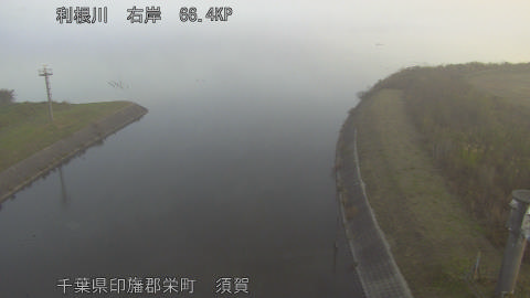 tonsu2025112407_image