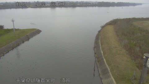 tonsu2025112508_image