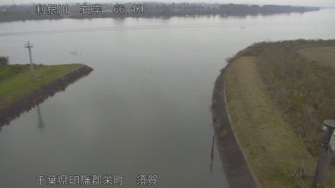 tonsu2025112514_image