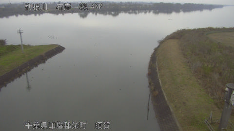 tonsu2025112515_image