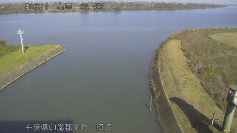 tonsu2025112612_image