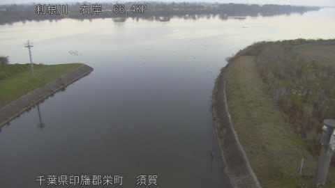 tonsu2025112807_image