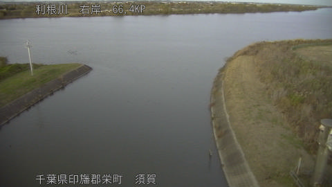 tonsu2025112817_image