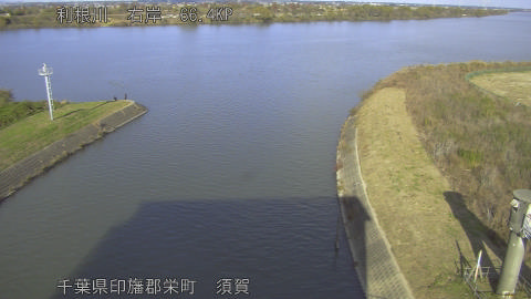 tonsu2025112914_image