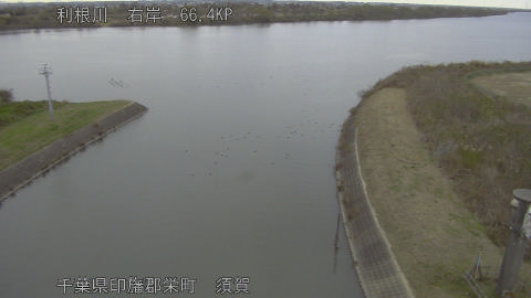 tonsu2025112916_image