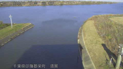 tonsu2025120814_image