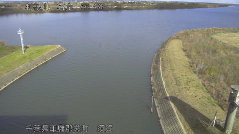 tonsu2025120912_image