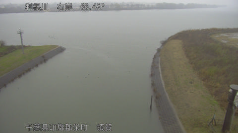 tonsu2025121411_image