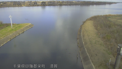 tonsu2025121713_image