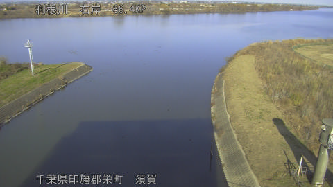 tonsu2025121914_image