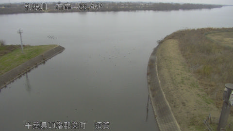 tonsu2025122409_image