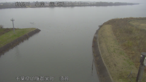 tonsu2025122411_image