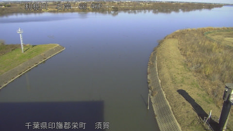 tonsu2025122813_image