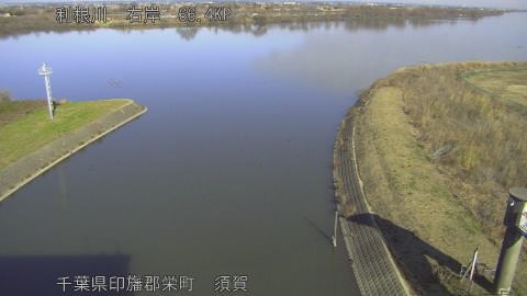 tonsu2025122912_image